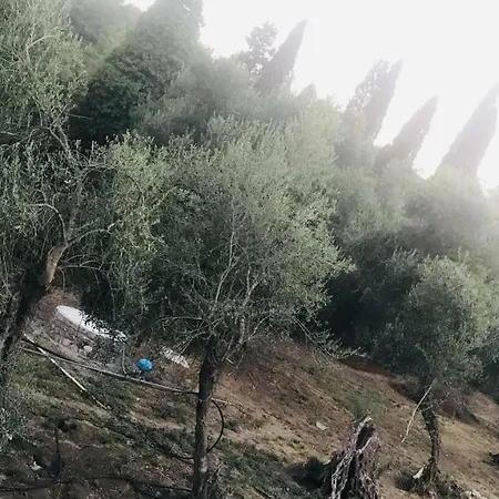 Terpsichore Boutique Appartments 다시아