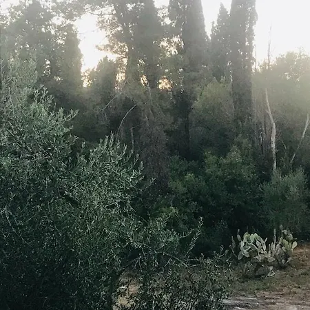 Terpsichore Boutique Appartments 3* 다시아