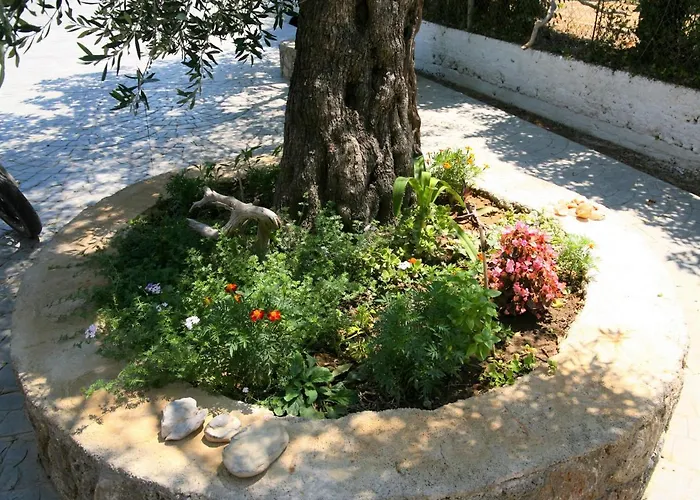 Terpsichore Boutique Appartments Dassia (Corfu)